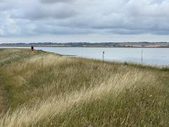 At the mouth of Conyer Creek, looking across the Swale to The Isle of Sheppey